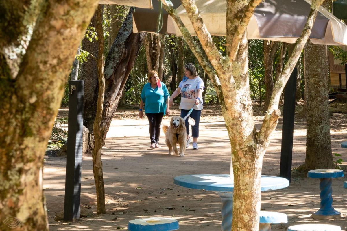Hotel Fazenda Parque Dos Sonhos Socorro  Eksteriør billede
