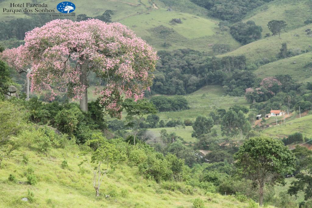 Hotel Fazenda Parque Dos Sonhos Socorro  Eksteriør billede