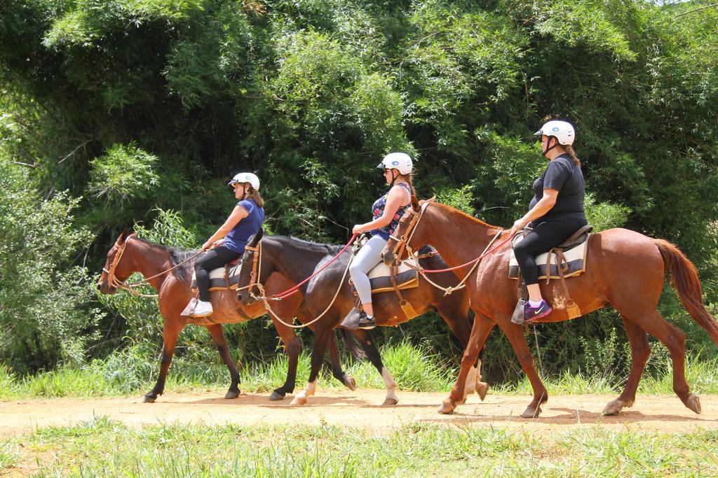Hotel Fazenda Parque Dos Sonhos Socorro  Eksteriør billede