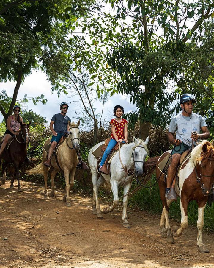 Hotel Fazenda Parque Dos Sonhos Socorro  Eksteriør billede