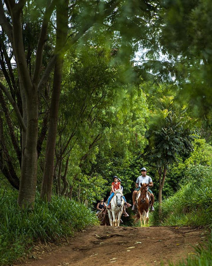 Hotel Fazenda Parque Dos Sonhos Socorro  Eksteriør billede
